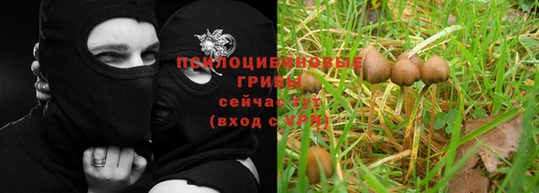 амфетамин Алексин