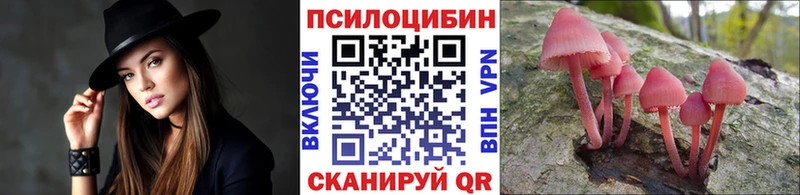Псилоцибиновые грибы Psilocybe  Трубчевск 