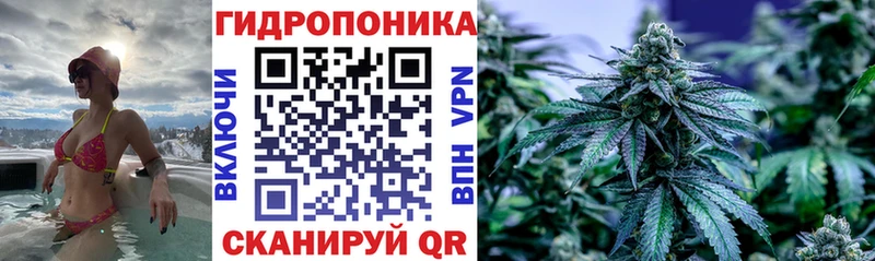 Каннабис конопля  купить наркотики сайты  Трубчевск 